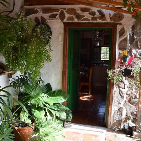 La Casa De Los Pinos Temisas מראה חיצוני תמונה