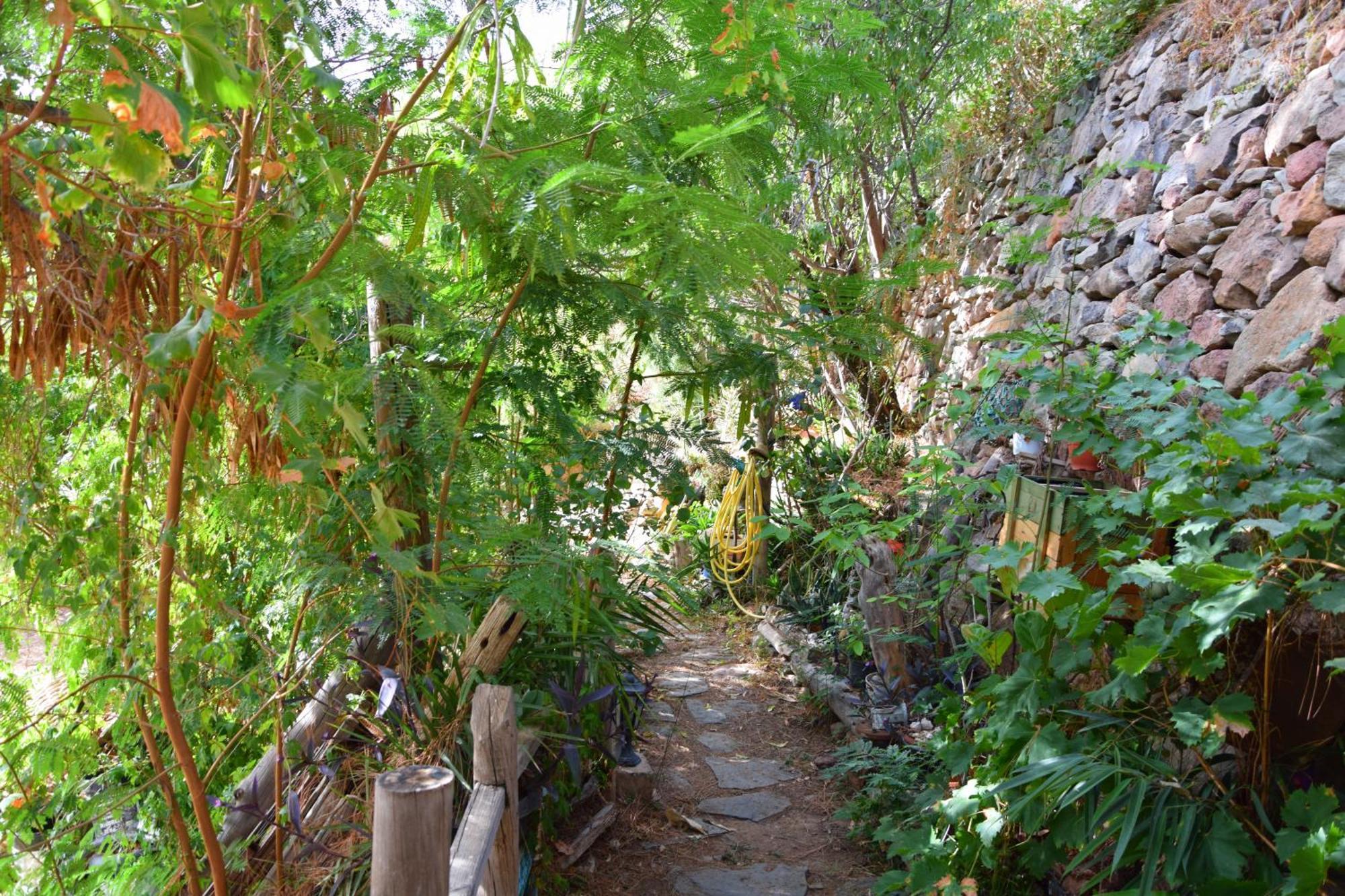 La Casa De Los Pinos Temisas מראה חיצוני תמונה